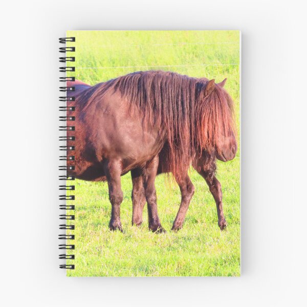 Item preview, Shetland pony - small horses | Animal Photography designed and sold by SimZoom.