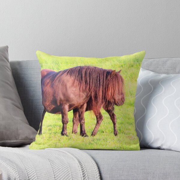 Aperçu de l'œuvre Poney Shetland - petits chevaux | Photographie animalière créée et vendue par SimZoom.