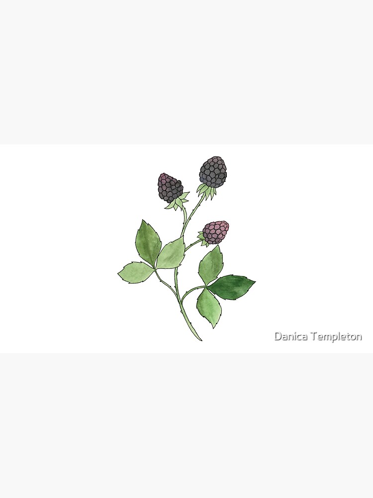 Thumbnail 7 von 7, Cap, Brombeere Aquarellmalerei designt und verkauft von NatureNerdiness.
