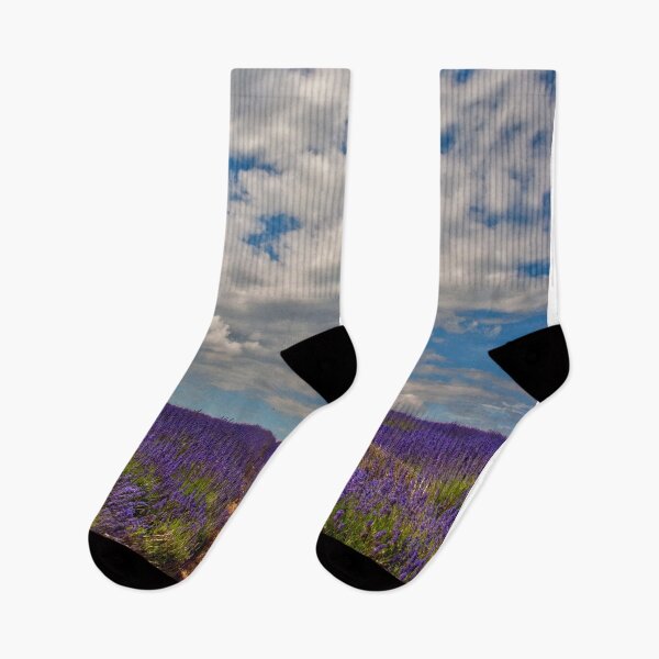 Item preview, Lavender Field Summer Flowers Cotswolds England designed and sold by AndyEvansPhotos.