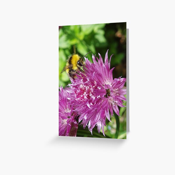 Chive Bee Greeting Card