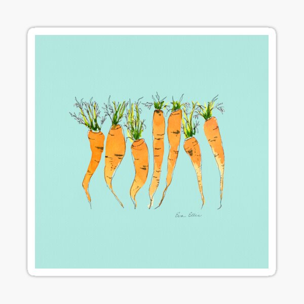 Carrots orange with turquoise Background Sticker