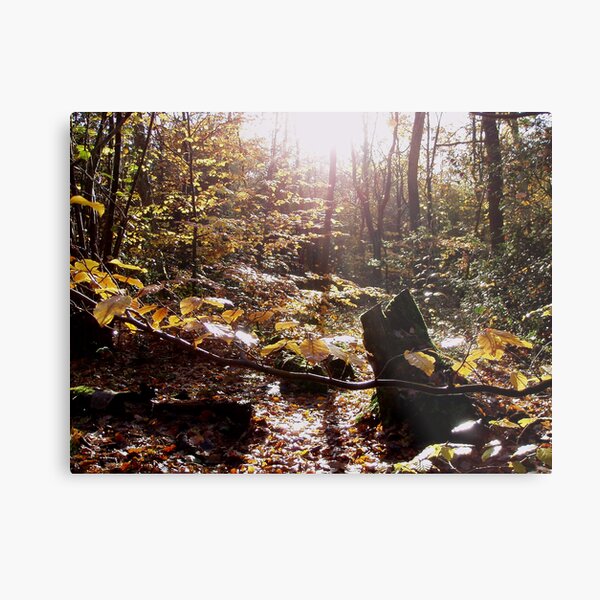 Legend of the Forest Metal Print