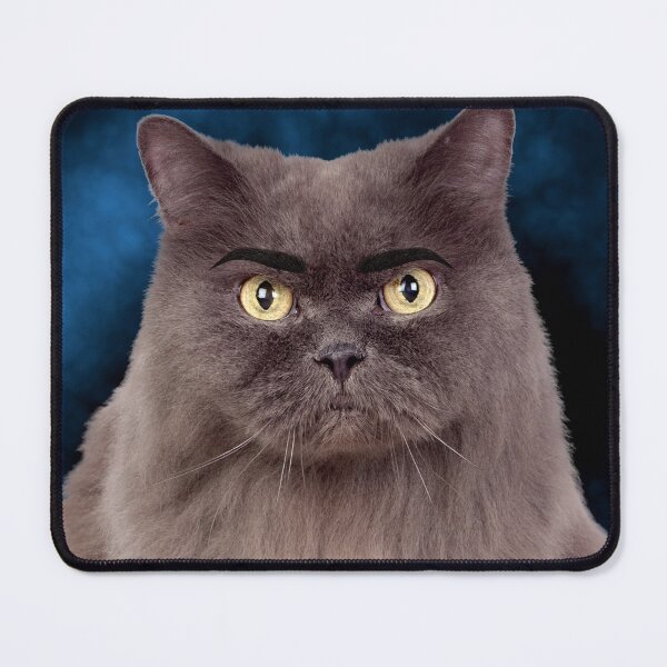 Item preview, Eyebrow Cat Meme designed and sold by ramazis.