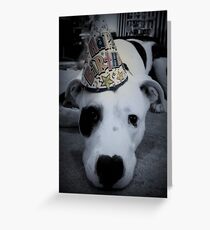 Party Pibble Greeting Card