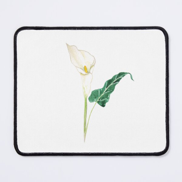 Item preview, hand painted one white calla lily flowers  designed and sold by ColorandColor.