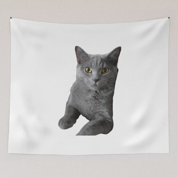 Item preview, GRAY CAT designed and sold by giantstep.