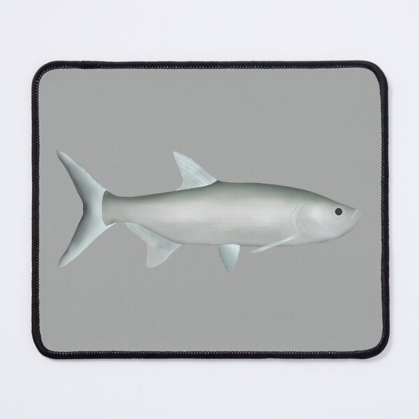 Item preview, Indo-Pacific Tarpon designed and sold by fishfolkart.