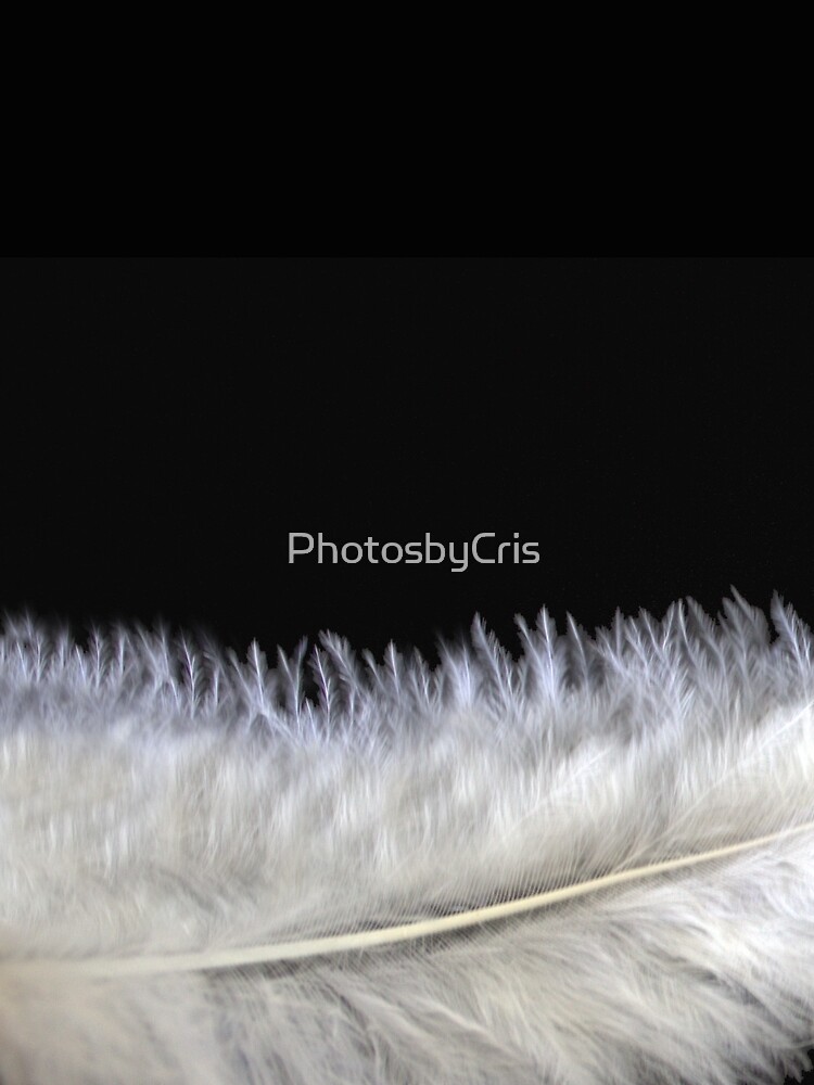 Feather by PhotosbyCris