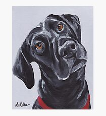 Lámina fotográfica Labrador retriever laboratorio negro Arte de Lee H Keller