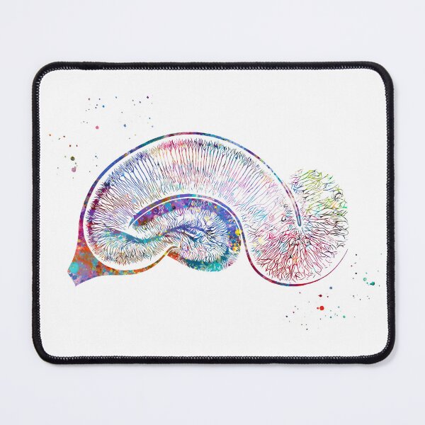 Item preview, Brain Pyramidal Neurons designed and sold by EvasDreams.