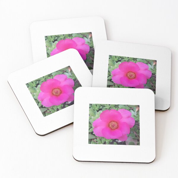 Item preview, Hot Pink Fuchsia Purslane Portulaca Flower Succulent designed and sold by gtgbrown.