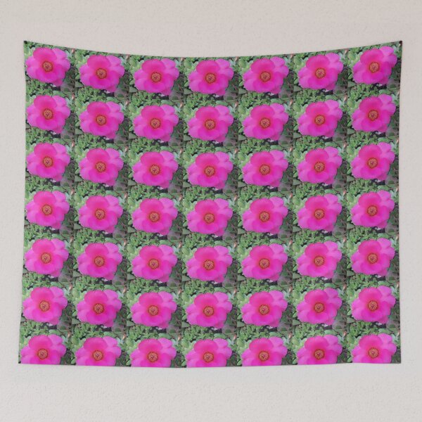 Item preview, Hot Pink Fuchsia Purslane Portulaca Flower Succulent designed and sold by gtgbrown.