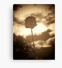 Lone Birdhouse Canvas Print