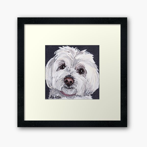 Maltese Dog Art by Lee H Keller Framed Art Print