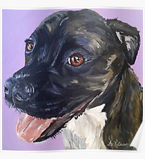 Pit Bull Art by Lee H Keller Poster