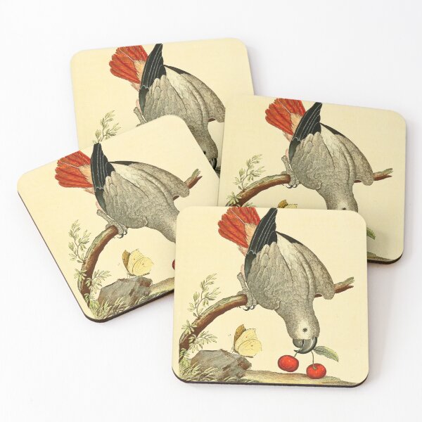 Item preview, African Grey Parrot designed and sold by Lloyd Library & Museum.