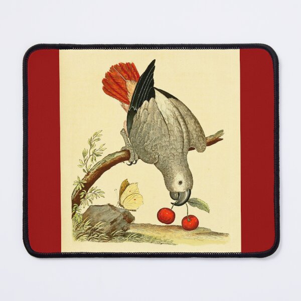 Item preview, African Grey Parrot designed and sold by Lloyd Library & Museum.
