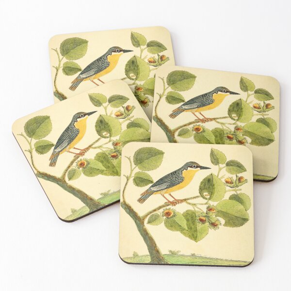 Item preview, Nuthatch designed and sold by Lloyd Library & Museum.