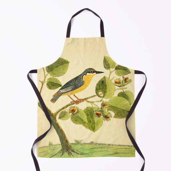 Item preview, Nuthatch designed and sold by Lloyd Library & Museum.