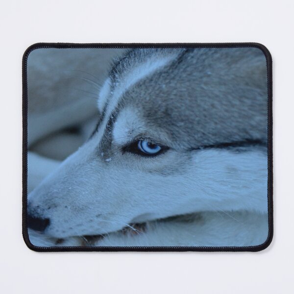 Item preview, gray wolf, gray wolf, wolf lovers, designed and sold by Nicedeco.