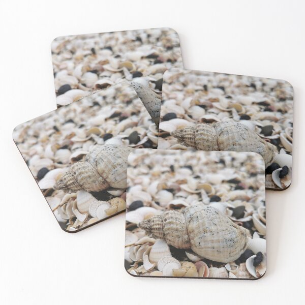 Item preview, shells on beach designed and sold by KaisPrints.