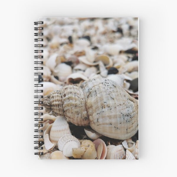 Item preview, shells on beach designed and sold by KaisPrints.