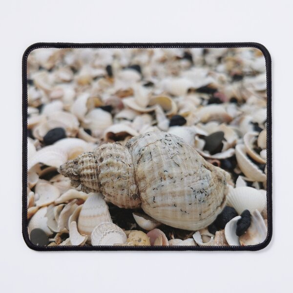 Item preview, shells on beach designed and sold by KaisPrints.