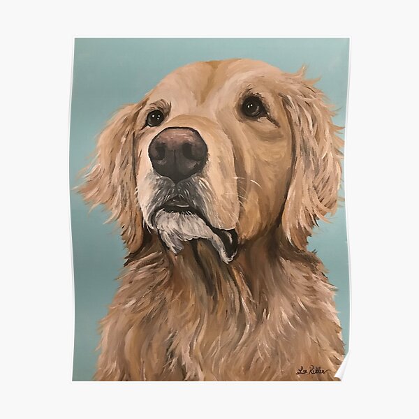 Golden Retriever Art Poster