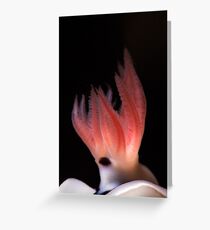 The Flame Greeting Card