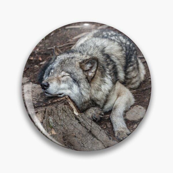 Item preview, gray wolf, gray wolf, wolf lovers, wolfes world designed and sold by Nicedeco.
