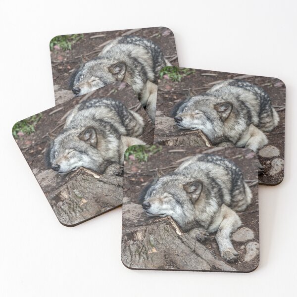 Item preview, gray wolf, gray wolf, wolf lovers, wolfes world designed and sold by Nicedeco.