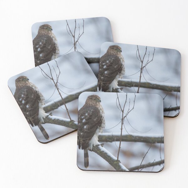 Item preview, Cooper's Hawk designed and sold by LaurenTucker.