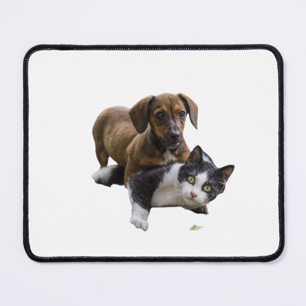 Item preview, PUPPY AND KITTEN PLAY designed and sold by giantstep.