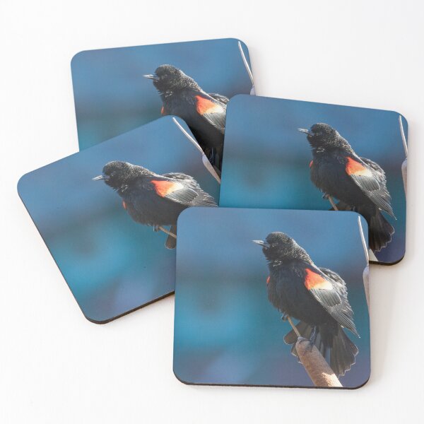 Item preview, Red Winged Blackbird designed and sold by LaurenTucker.