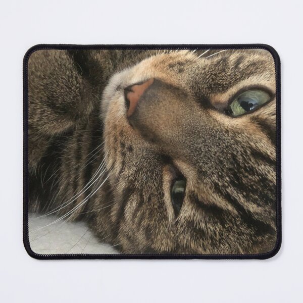 Cute Tabby Cat Photo Mouse Pad