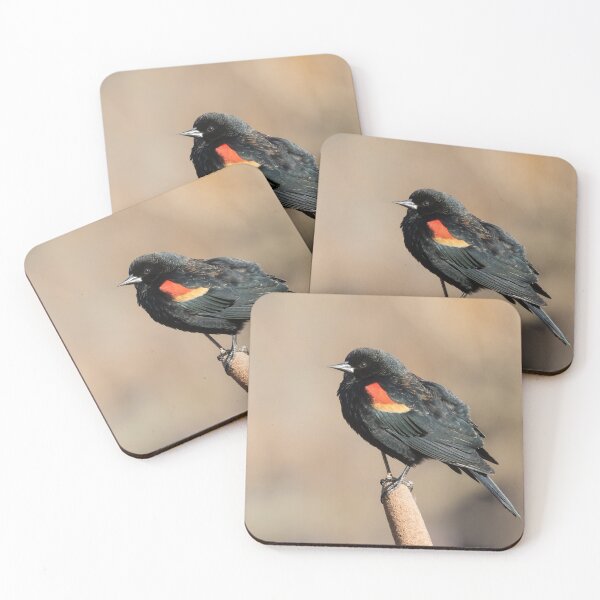 Item preview, Red Winged Blackbird designed and sold by LaurenTucker.