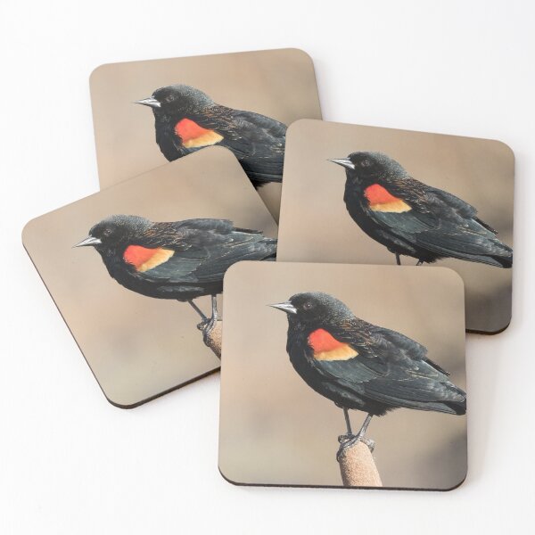 Item preview, Red Winged Blackbird designed and sold by LaurenTucker.