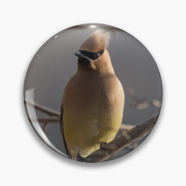 Item preview, Cedar Waxwing designed and sold by LaurenTucker.