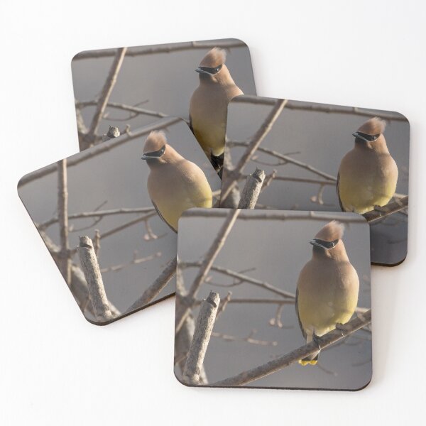 Item preview, Cedar Waxwing designed and sold by LaurenTucker.