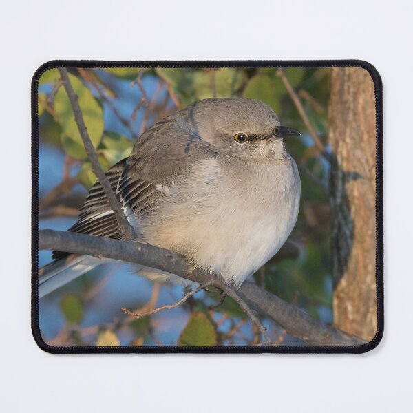Item preview, Northern Mockingbird designed and sold by LaurenTucker.