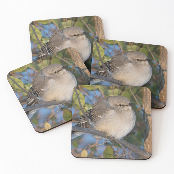 Item preview, Northern Mockingbird designed and sold by LaurenTucker.
