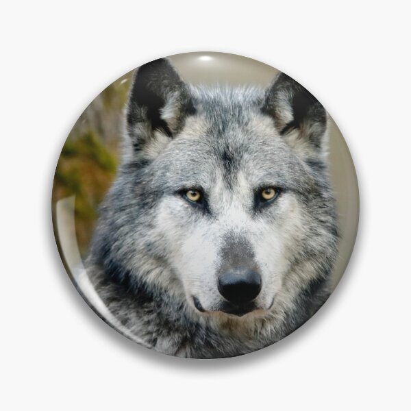 Item preview, gray wolf, gray wolf, wolf lovers, wolfes world designed and sold by Nicedeco.