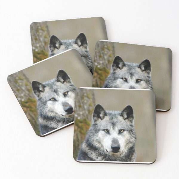 Item preview, gray wolf, gray wolf, wolf lovers, wolfes world designed and sold by Nicedeco.