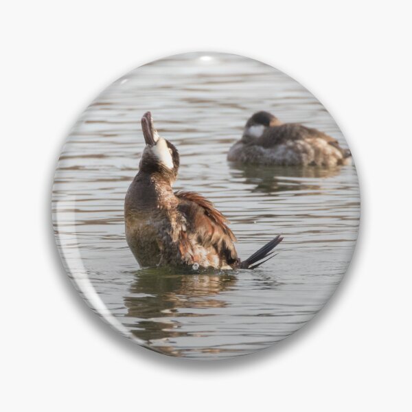 Item preview, Ruddy Duck designed and sold by LaurenTucker.