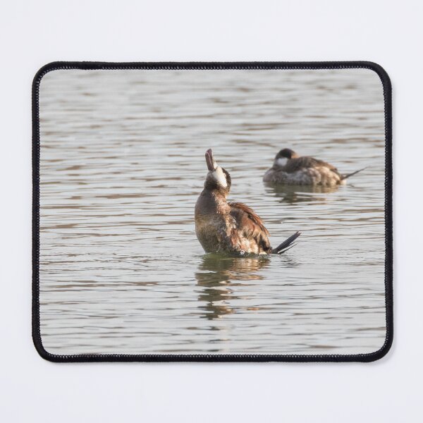 Item preview, Ruddy Duck designed and sold by LaurenTucker.