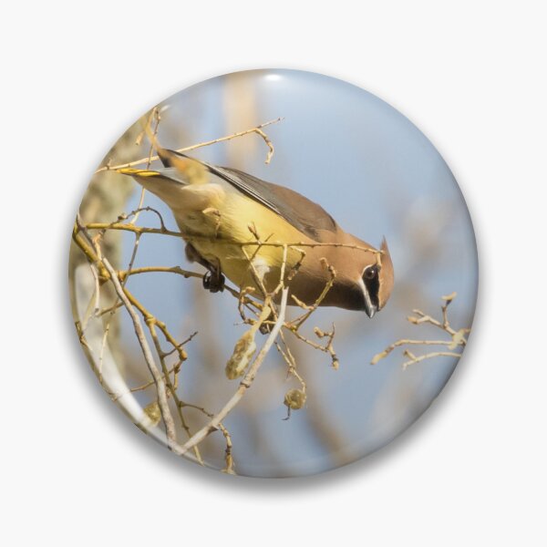 Item preview, Cedar Waxwing designed and sold by LaurenTucker.