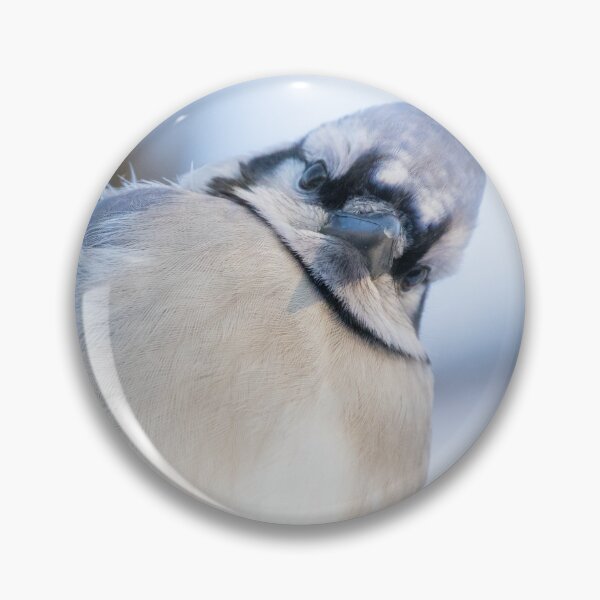 Item preview, Blue Jay designed and sold by LaurenTucker.