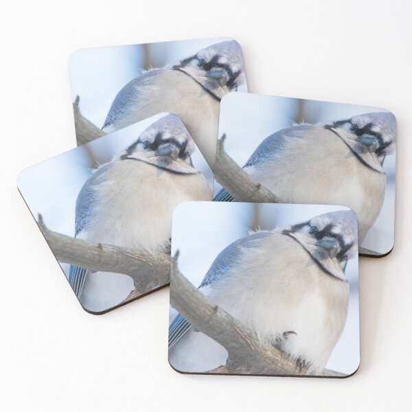 Item preview, Blue Jay designed and sold by LaurenTucker.