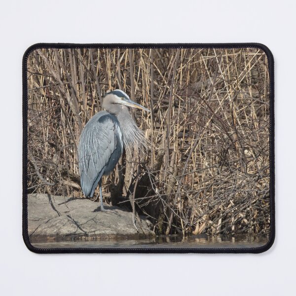 Item preview, Great Blue Heron designed and sold by LaurenTucker.